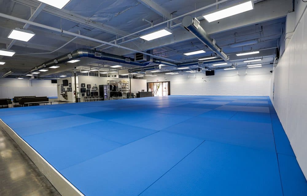 Why Generic Gym Software Fails BJJ Academies — And How BJJ Evolve Solves It